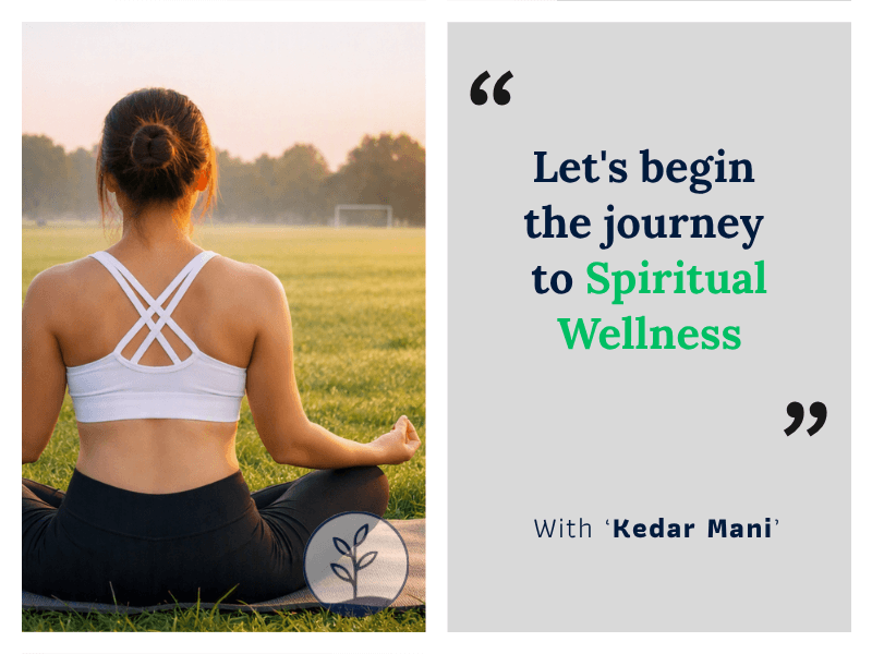Meditation Courses
